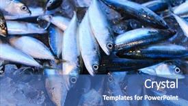  Presentation with top view of fresh fish - Presentation design consisting of fresh fish on a market background and a ocean colored foreground