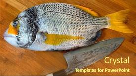  Presentation with kitchen - Slide deck having fresh-fish-on-a-table background and a tawny brown colored foreground