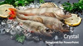  Presentation with vintage cooking - Slide deck having fresh fish on ice background and a gray colored foreground