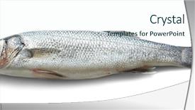  Presentation with fish - Presentation having fresh fish on white background background and a sky blue colored foreground