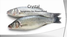  Presentation with food fish - Theme consisting of fresh fish on white background background and a white colored foreground