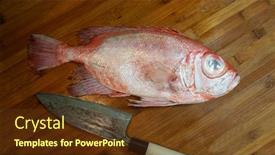  Presentation with eye - Slides enhanced with fresh-fish-red-big-eye background and a tawny brown colored foreground