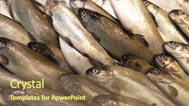  Presentation with fish river - Presentation theme featuring fresh fish river trout background and a tawny brown colored foreground