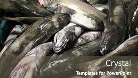  Presentation with black sea - Colorful presentation theme enhanced with fresh-fish-sea-trout-black backdrop and a dark gray colored foreground