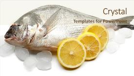  Presentation with ice - Cool new presentation theme with fresh fish with ice isolated backdrop and a soft green colored foreground