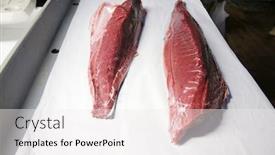  Presentation with tuna fish - Slide set enhanced with fresh-fish-yellow-fin-tuna background and a sky blue colored foreground