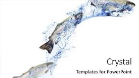  Presentation with water wave - Beautiful presentation theme featuring fresh fishes in water wave backdrop and a white colored foreground