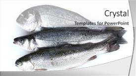  Presentation with fishes - Amazing slide set having fresh fishes isolated on white backdrop and a  colored foreground