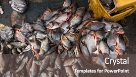  Presentation with top view of fresh fish - Presentation theme with fresh fishes on the ground background and a dark gray colored foreground