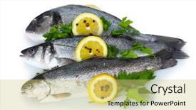  Presentation with top view of fresh fish - Presentation theme consisting of fresh fishes with lemon parsley background and a yellow colored foreground