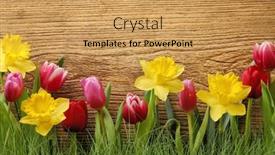 Presentation with grunge flower - Theme enhanced with fresh-flower-and-grass background and a  colored foreground