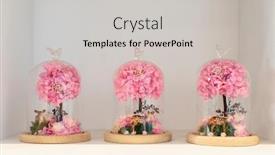  Presentation with stand - Slide set having fresh-flowers-under-a-glass background and a light gray colored foreground