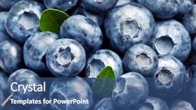 Presentation with blueberries - Theme featuring fresh food - blueberries with leaves occupies background and a ocean colored foreground