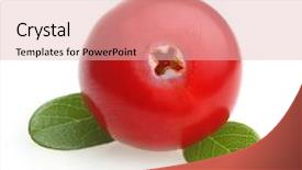  Presentation with forest - Slide deck consisting of fresh forest berry cranberry isolated background and a lemonade colored foreground