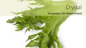  Presentation with iceberg - Presentation theme enhanced with fresh-frillice-iceberg-leaf-salad background and a soft green colored foreground