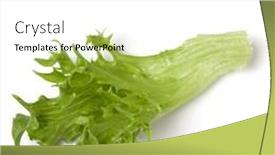  Presentation with iceberg - Presentation theme with fresh-frillice-iceberg-leaf-salad background and a  colored foreground