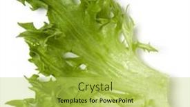  Presentation with iceberg - Slide set enhanced with fresh-frillice-iceberg-leaf-salad background and a  colored foreground