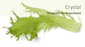  Presentation with iceberg - PPT layouts featuring fresh-frillice-iceberg-leaf-salad background and a  colored foreground