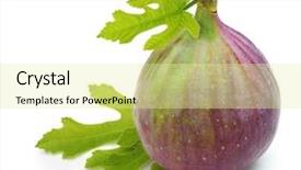 Presentation with fruit fig - Presentation having fresh fruit fig isolated background and a blonde colored foreground