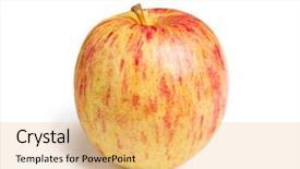  Presentation with gala - Cool new theme with fresh gala apple isolated backdrop and a yellow colored foreground