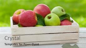  Presentation with green apples - PPT theme featuring fresh-garden-green-and-red background and a light gray colored foreground