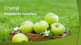  Presentation with text box - Audience pleasing PPT layouts consisting of fresh-garden-green-apples backdrop and a seafoam green colored foreground