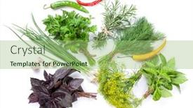  Presentation with herbs - Slide set featuring fresh garden herbs isolated on white background background and a mint green colored foreground