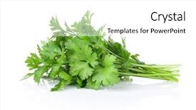 Presentation with herbs - Presentation theme enhanced with parsley isolated on white background background and a white colored foreground
