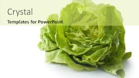  Presentation with lettuce - Cool new theme with fresh-garden-lettuce-on-white backdrop and a yellow colored foreground