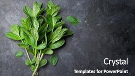  Presentation with mint - PPT layouts enhanced with fresh garden mint on stone background and a dark gray colored foreground