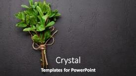  Presentation with peppermint - Cool new slides with fresh-garden-peppermint-bunch backdrop and a dark gray colored foreground