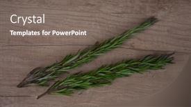  Presentation with garden - Slide set featuring fresh-garden-rosemary-on-wooden background and a gray colored foreground
