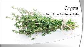  Presentation with herb - Audience pleasing presentation design consisting of fresh garden thyme herb isolated backdrop and a  colored foreground