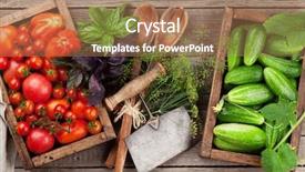  Presentation with cucumbers - Slide set featuring fresh garden tomatoes and cucumbers background and a coral colored foreground