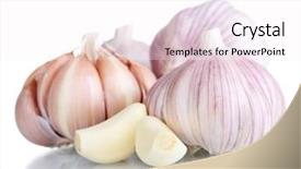  Presentation with garlic - Presentation design with fresh garlic isolated on white background and a white colored foreground