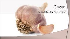  Presentation with fresh ginger root on white - Presentation having fresh garlic on white background background and a lemonade colored foreground