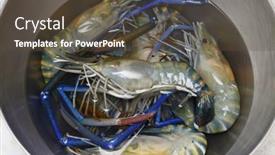  Presentation with bowl - Cool new PPT layouts with fresh-giant-river-prawns backdrop and a tawny brown colored foreground