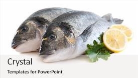  Presentation with food fish - Slides enhanced with fresh gilthead bream fish background and a light gray colored foreground