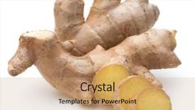  Presentation with root - Slide set featuring fresh ginger root or rhizome background and a coral colored foreground