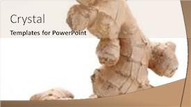  Presentation with root - PPT layouts enhanced with fresh-ginger-root-with-sliced background and a coral colored foreground