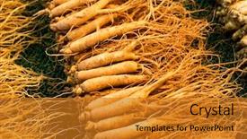  Presentation with food market - Amazing presentation theme having fresh ginseng in food market backdrop and a gold colored foreground