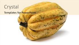  Presentation with orange green white - PPT theme with fresh-golden-with-green background and a yellow colored foreground