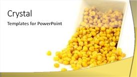  Presentation with grain corn - Presentation theme featuring fresh grains of sweet corn background and a white colored foreground
