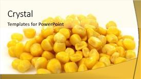 Presentation with grain corn - Amazing presentation having fresh grains of sweet corn backdrop and a blonde colored foreground