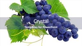  Presentation with water rain drop hanging on a fresh green leaf - Cool new slides with fresh grape cluster with green backdrop and a ocean colored foreground