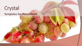  Presentation with green leaves - Audience pleasing presentation consisting of fresh grape fruits with green backdrop and a lemonade colored foreground