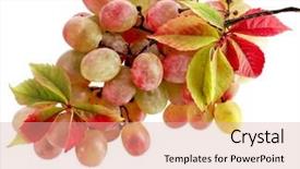  Presentation with green leaves - Beautiful presentation featuring fresh grape fruits with green backdrop and a coral colored foreground