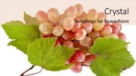  Presentation with tea leaves fresh green leaf - Presentation consisting of fresh grape fruits with green background and a  colored foreground