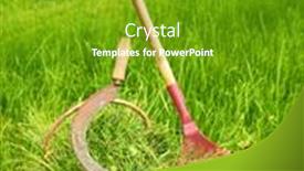  Presentation with grass - Cool new PPT theme with fresh-grass-in-basket backdrop and a tawny brown colored foreground