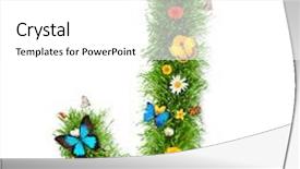  Presentation with letter - Colorful presentation enhanced with j with blooms and butterflies backdrop and a white colored foreground